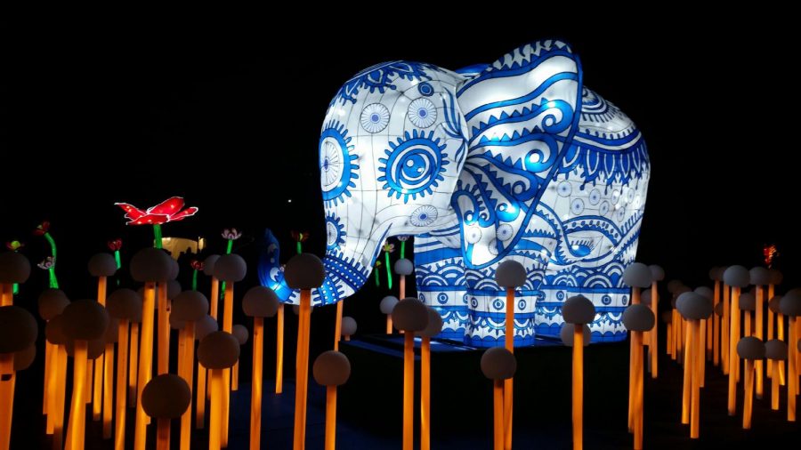 China Lights