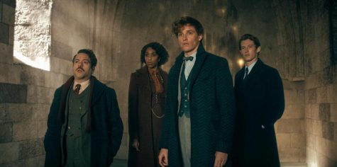 Future uncertain for Fantastic Beasts franchise