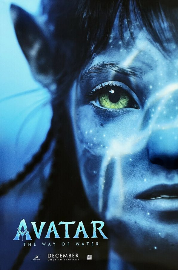 Students have mixed reviews on Avatar