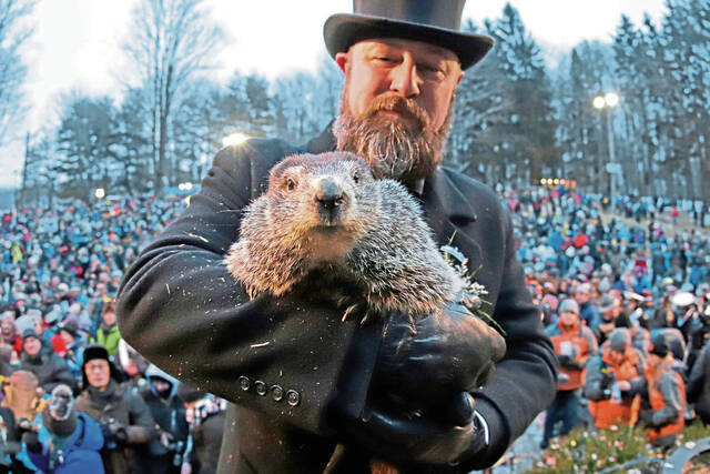 Understanding the Tradition Behind Groundhog Day
