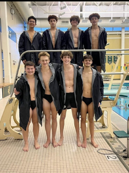 Boys swim shoots for the State title