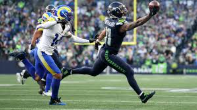 Nfl Playoffs Excite Fans